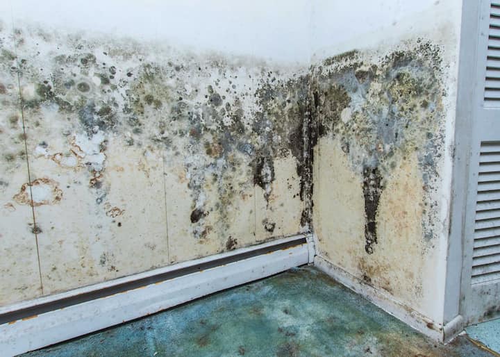water damage to walls and floor causing mold in Albany
